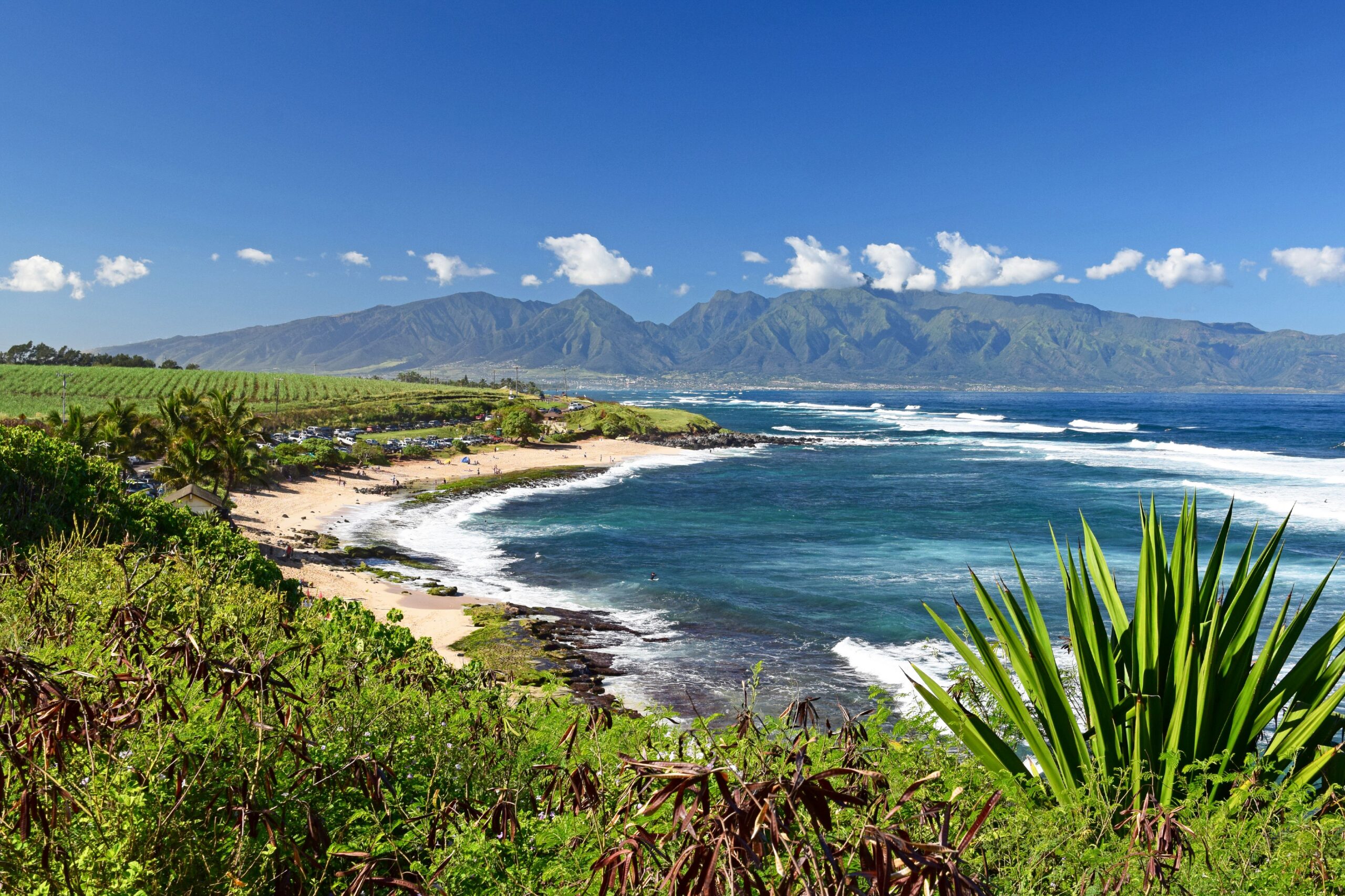 Practice Opportunity: Hawaii, Maui